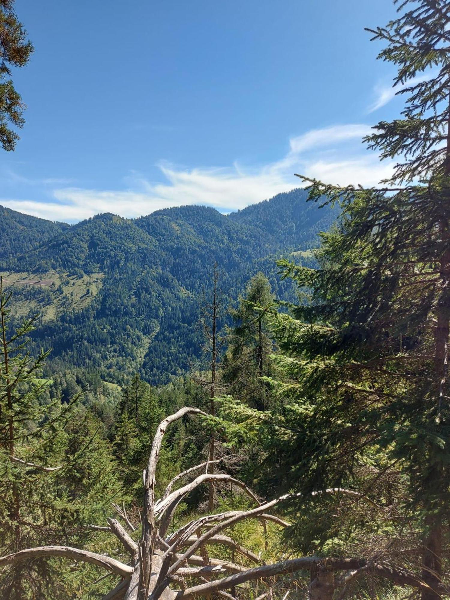 Naturetouch Steinberg am Rofan Dış mekan fotoğraf