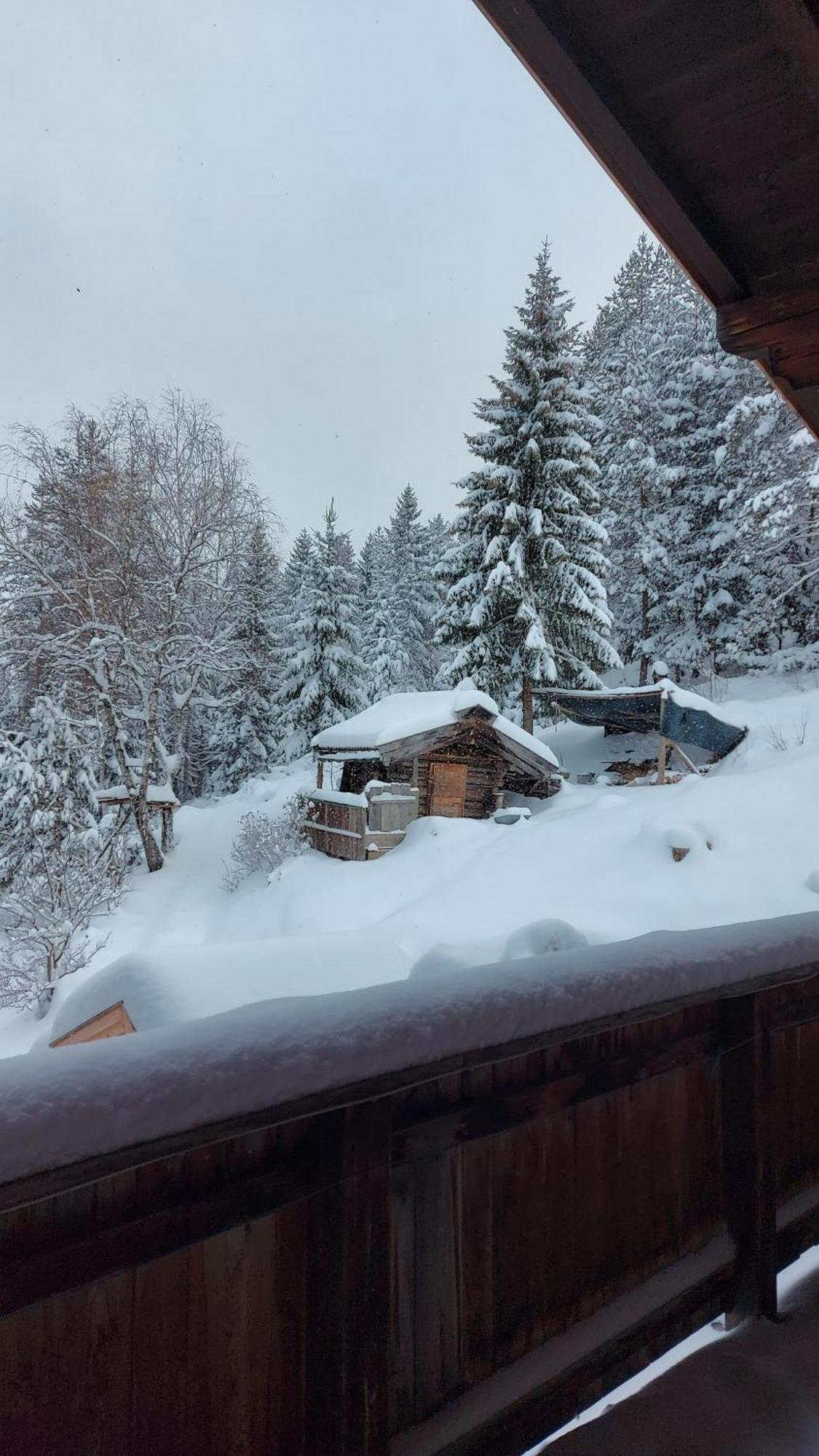 Naturetouch Steinberg am Rofan Dış mekan fotoğraf