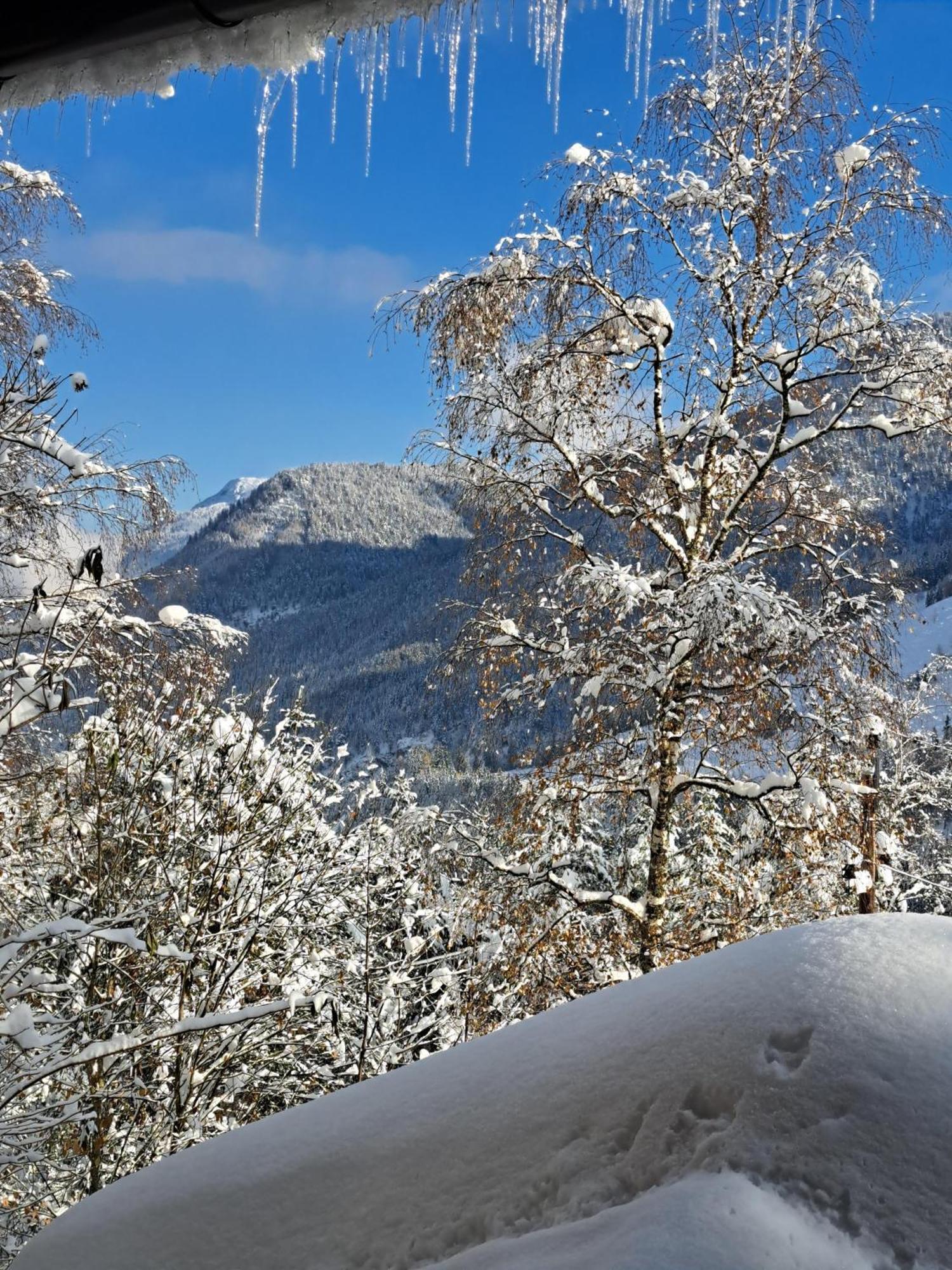 Naturetouch Steinberg am Rofan Dış mekan fotoğraf