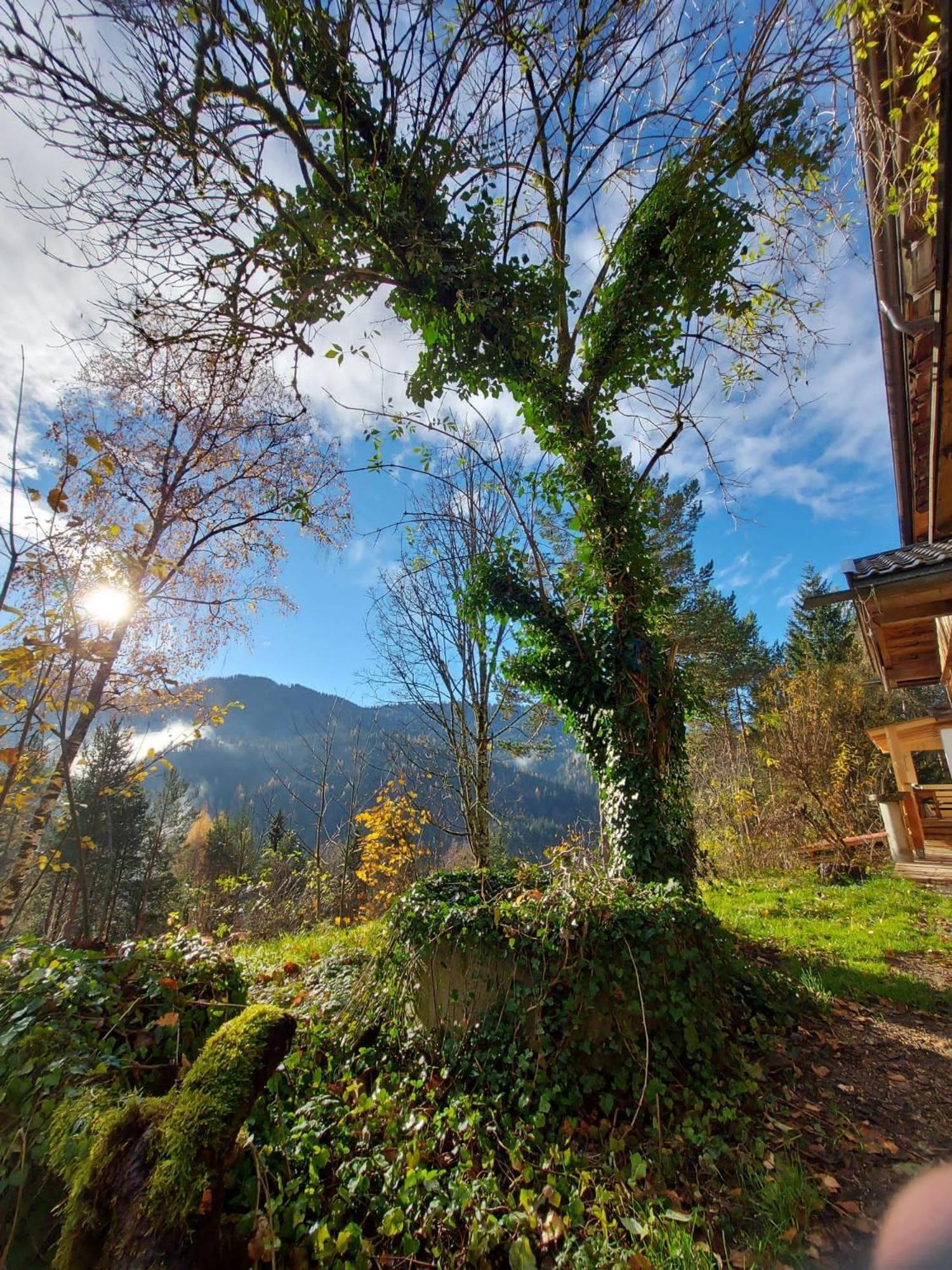 Naturetouch Steinberg am Rofan Dış mekan fotoğraf